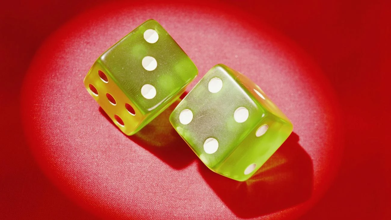 »When Houses Become Cheaper Again, That's Not a Happy Ending«